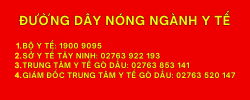 đường dây nóng